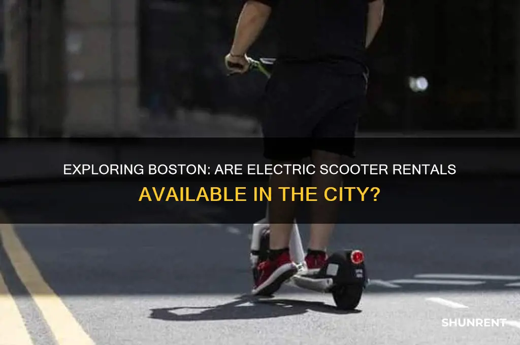 does boston have electric scooters to rent