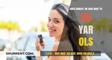Budget and Avis: Renting to 20-Year-Olds?