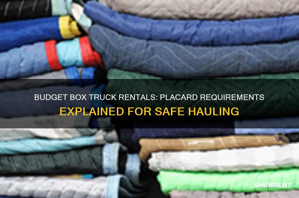 does budget rent box trucks with placards