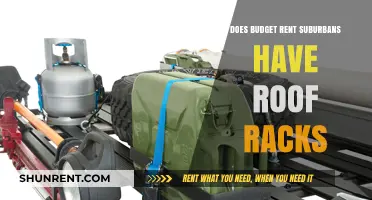 Budget Rent Suburban Roof Racks: Availability and Options Explained