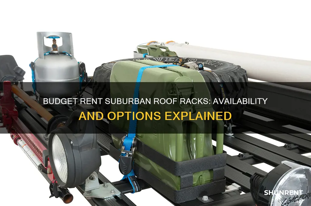 does budget rent suburbans have roof racks