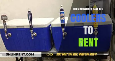 Renting Budweiser Keg Coolers: Availability, Costs, and Party Planning Tips
