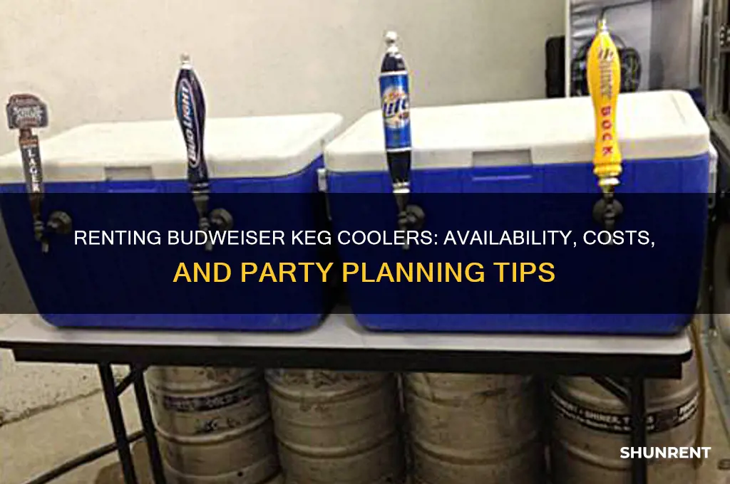 does budweiser have keg coolers to rent