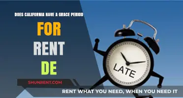 Grace Period for Rent in California: What's the Deal?