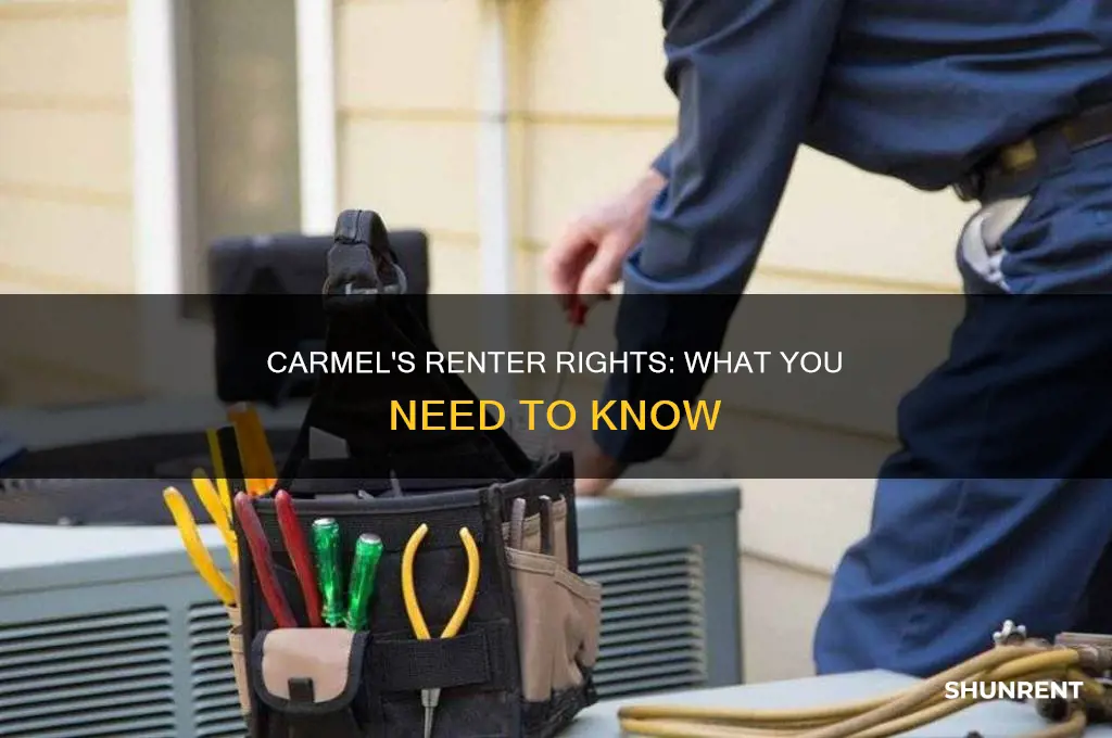 does carmel in have a renter
