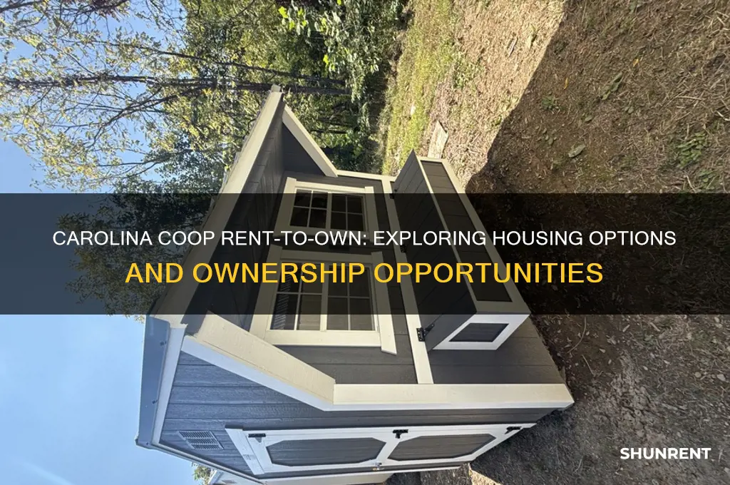 does carolina coop do rent to own