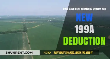 Understanding 199A Deduction Eligibility for Cash Rent Farmland