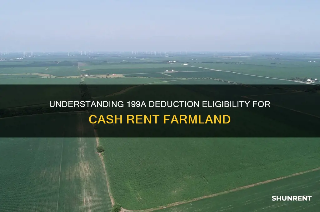 does cash rent farmland qualify for new 199a deduction