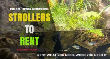 Chattanooga Aquarium Stroller Rentals: Availability and Visitor Tips