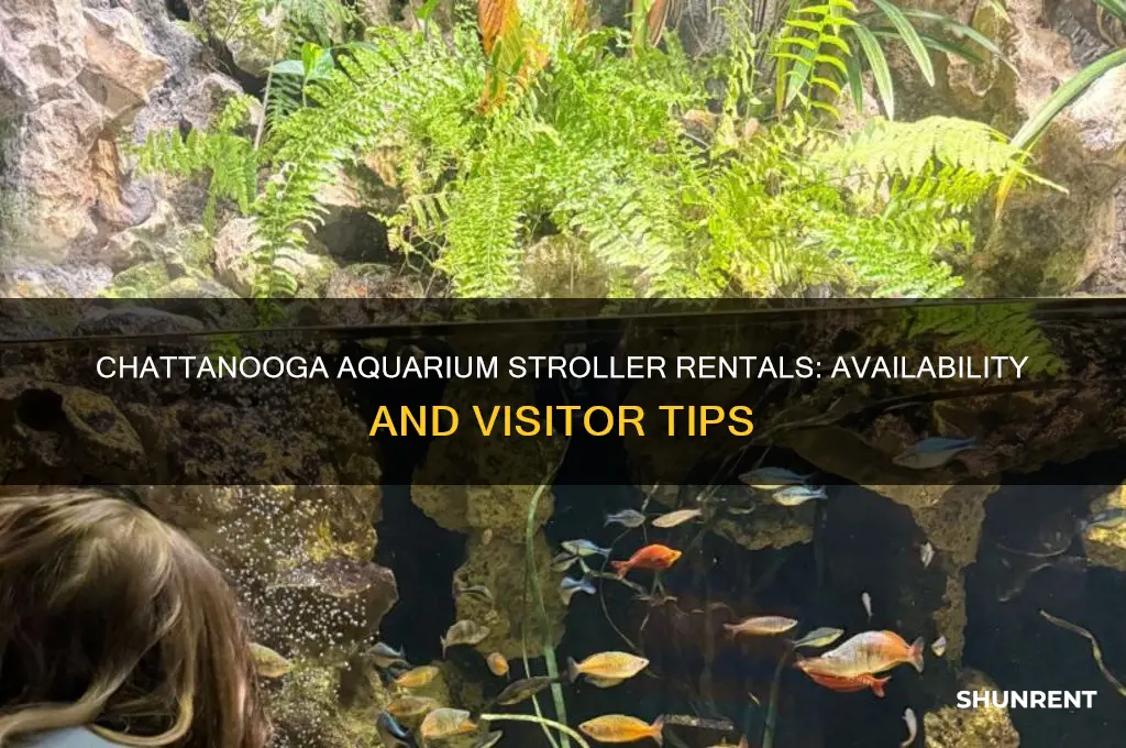 does chattanooga aquarium have strollers to rent