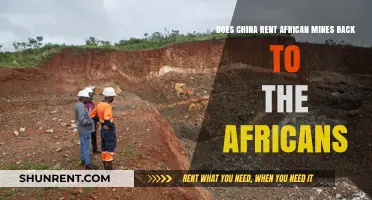 China's African Mine Deals: Renting Back to Africans?