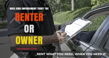 Who Gets Ticketed: Renter or Owner?