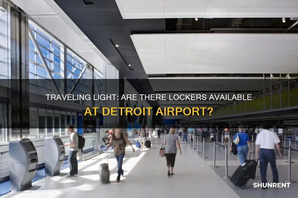 does detroit ariport have lockers to rent