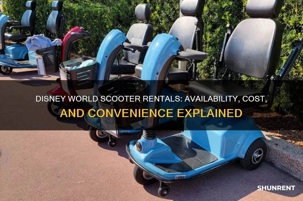 does disney world have scooters to rent