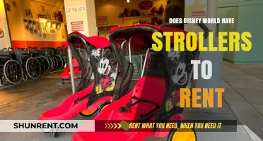 Disney World Stroller Rentals: Availability, Cost, and Convenience Explained