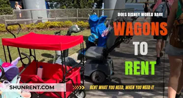 Disney World Wagon Rentals: Are They Available for Visitors?