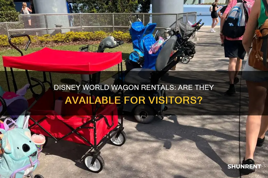 does disney world have wagons to rent