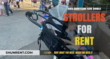Disneyland Stroller Rentals: Are Double Strollers Available for Families?