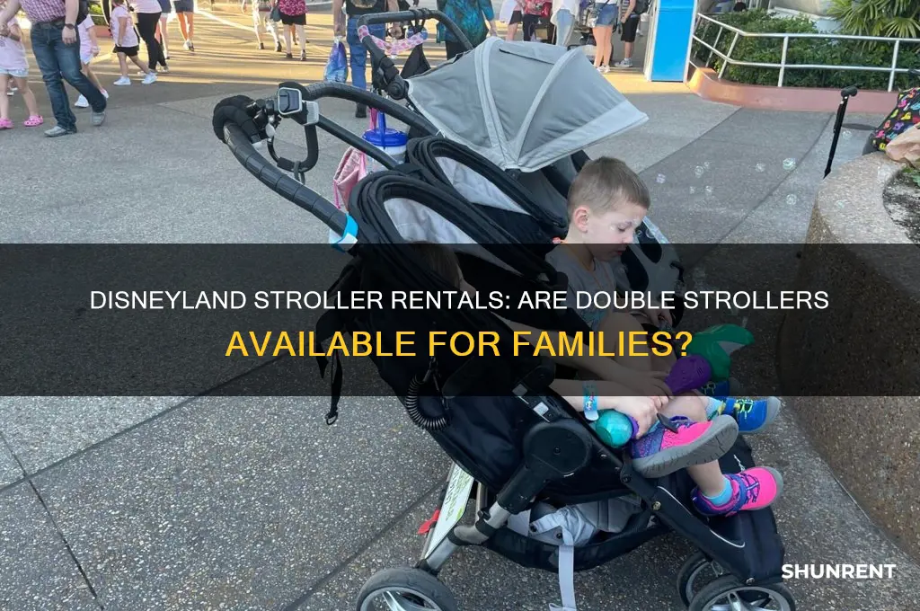 does disneyland have double strollers for rent