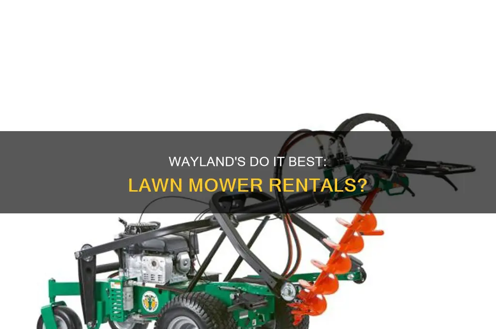 does do it best hardware in wayland mi rent lawmmowers