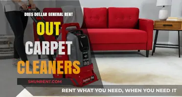 Does Dollar General Rent Carpet Cleaners? Your Quick Guide