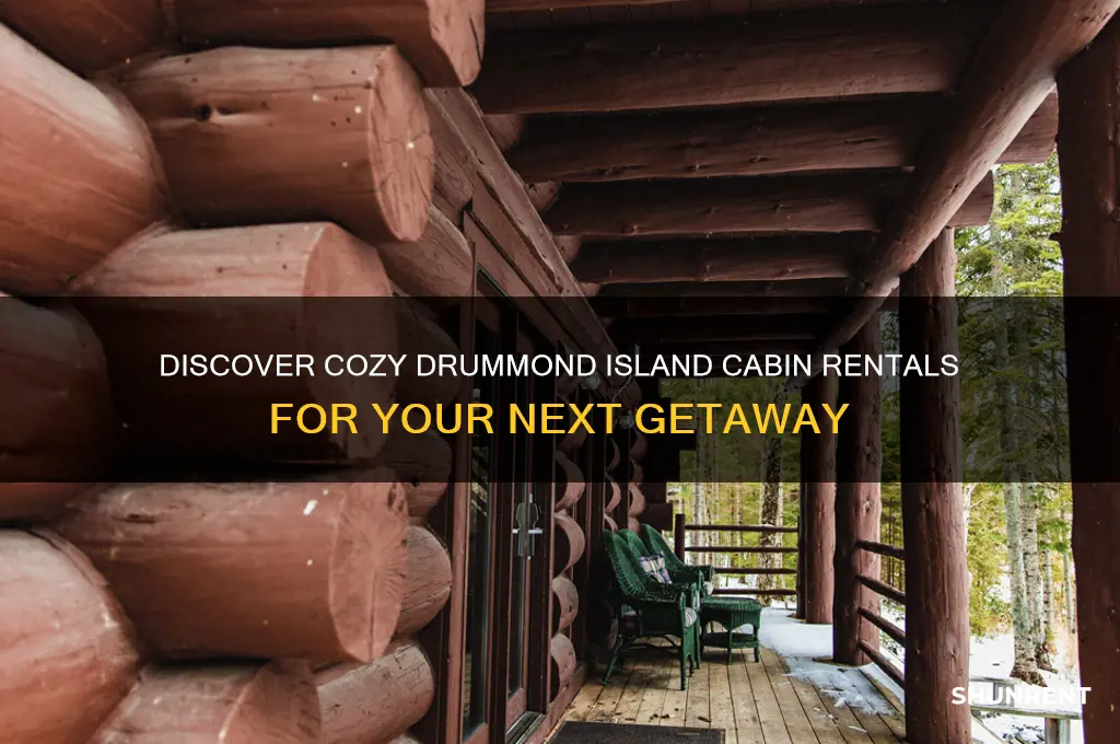 does drummond island have cabins to rent