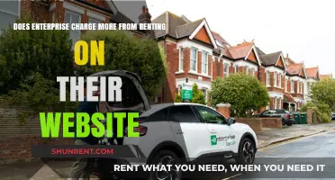 Enterprise Website Rentals: Are They Worth the Extra Cost?