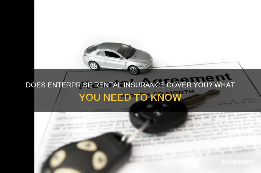 does enterprise have insurance when you rent