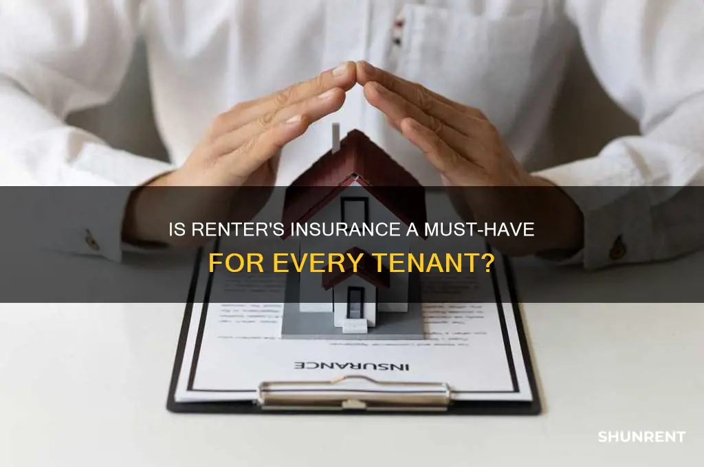 does everyone need their own renter insurance
