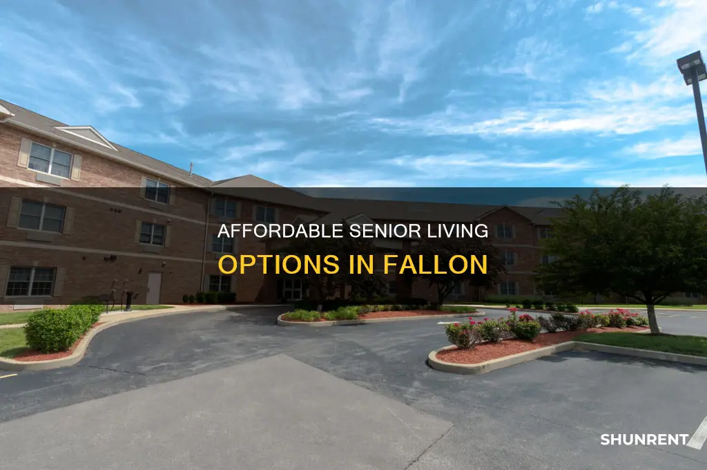 does fallon have low income senior apts for rent