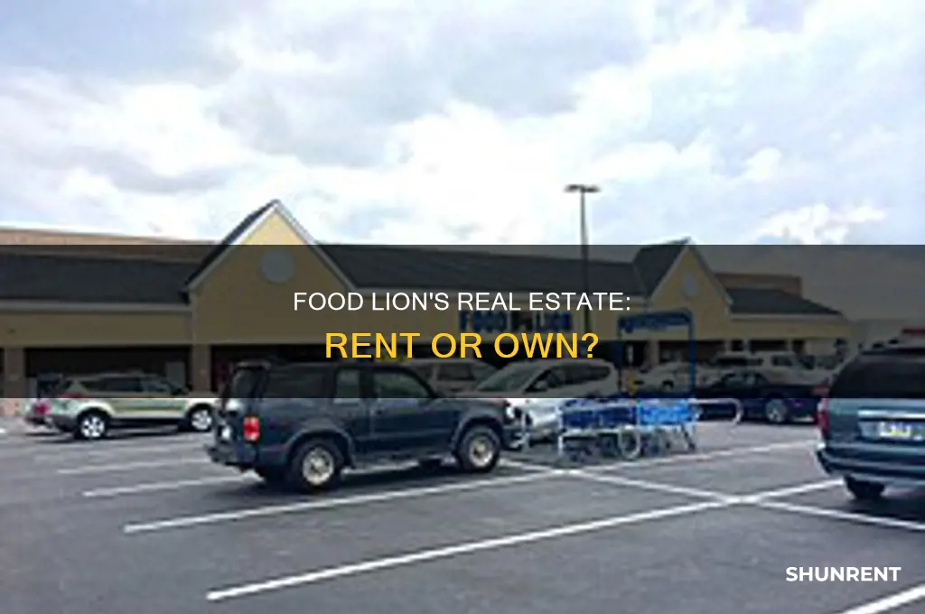does food lion own or rent it