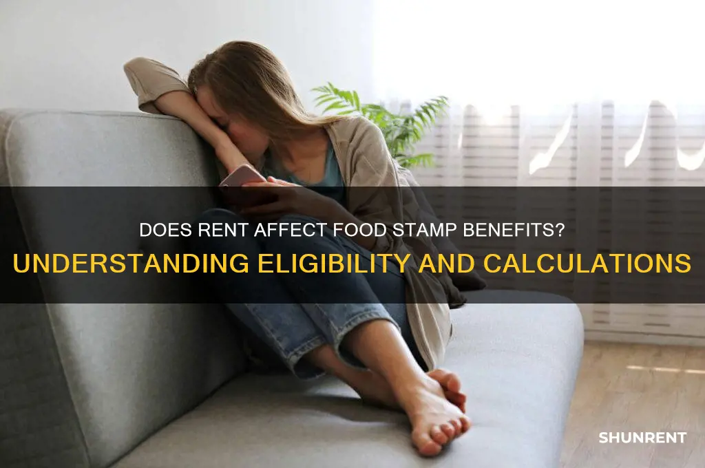 does food stamps count rent into consideration