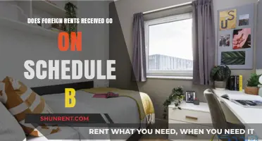 Foreign Rent: Schedule B Reporting