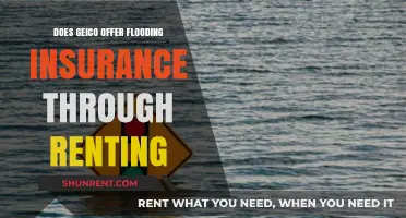 Does Geico Provide Flood Insurance for Renters? What You Need to Know