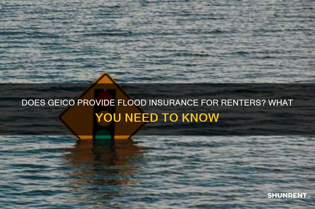 does geico offer flooding insurance through renting
