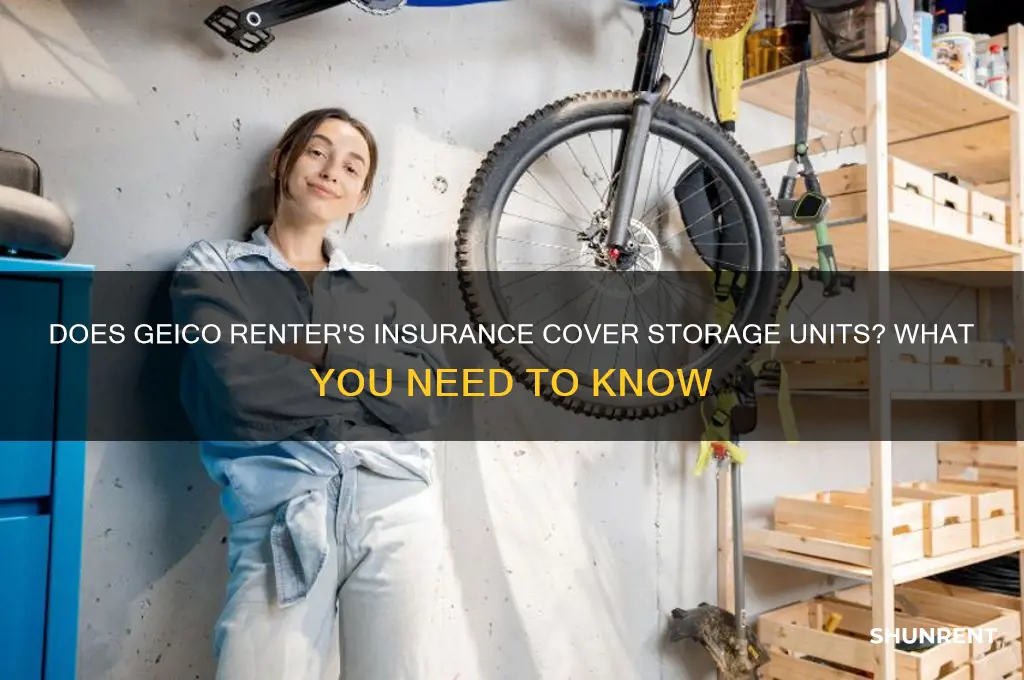 does geico renter