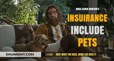 Does GEICO Renter's Insurance Cover Pets? What You Need to Know