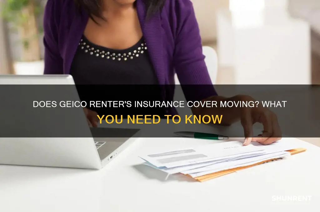 does geico renter