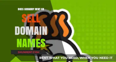 GoDaddy Domain Names: Renting vs. Selling Explained for Buyers