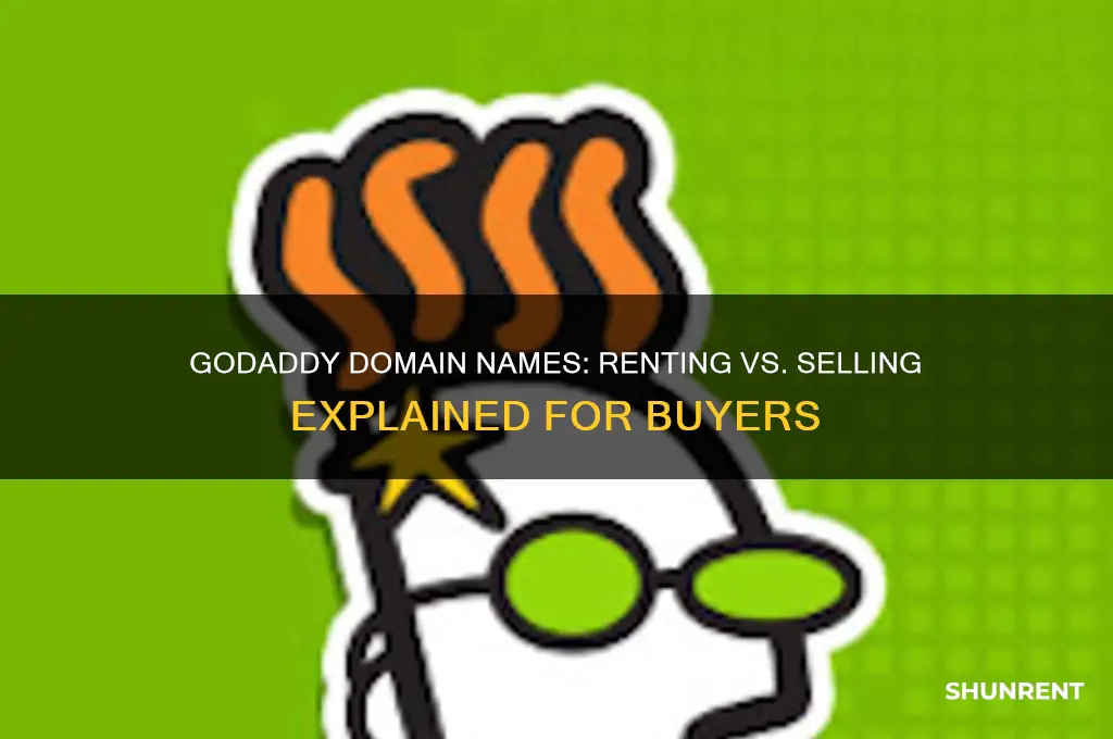 does godaddy rent or sell domain names