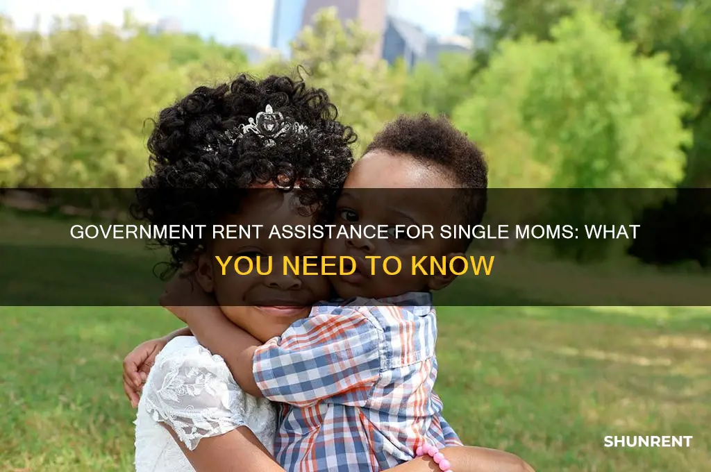 does government hel single mom with rent