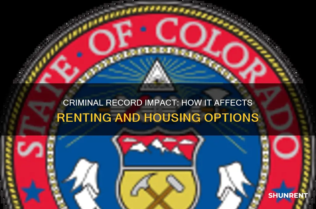 does having a criminal record affect renting
