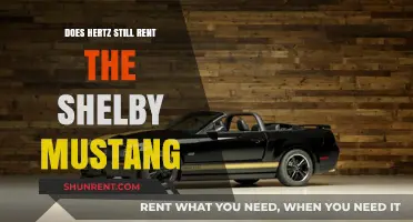 Does Hertz Still Rent the Shelby Mustang? Current Availability Explained