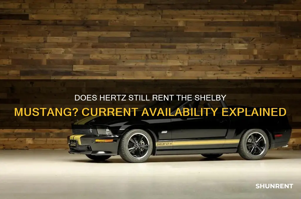 does hertz still rent the shelby mustang