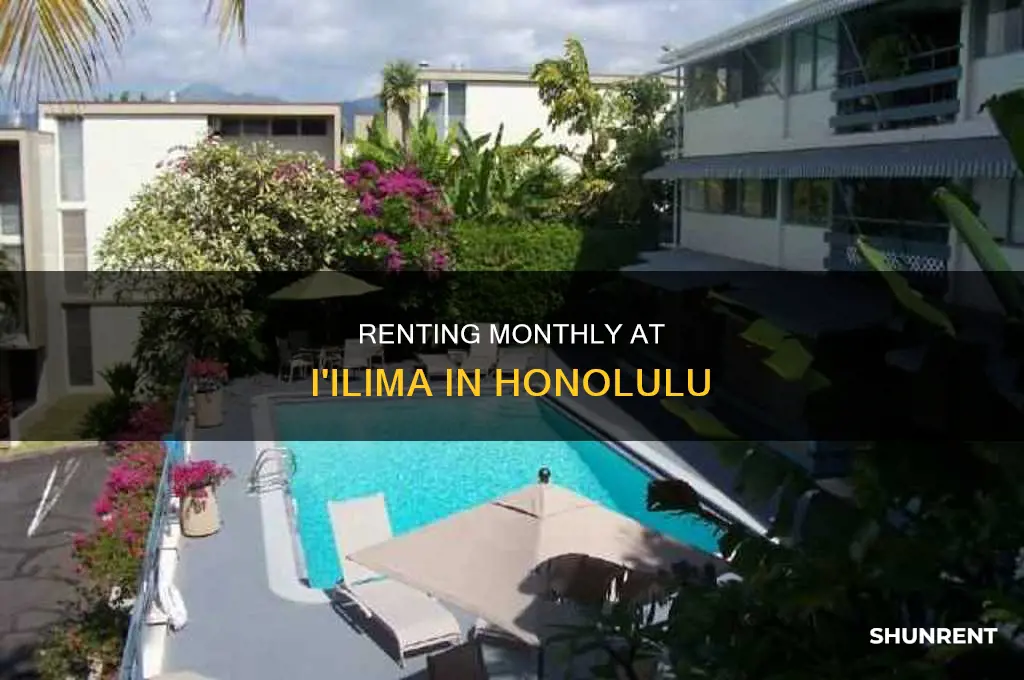 does iilima rent out by the month in honolulu