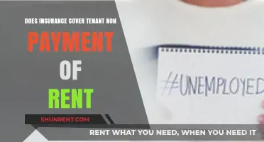 Rent Default: Are Landlords Covered by Insurance?