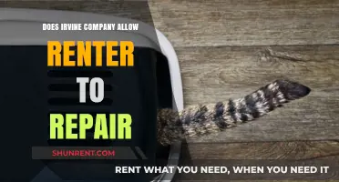 Can Irvine Company Renters Handle Repairs? Policies and Responsibilities Explained