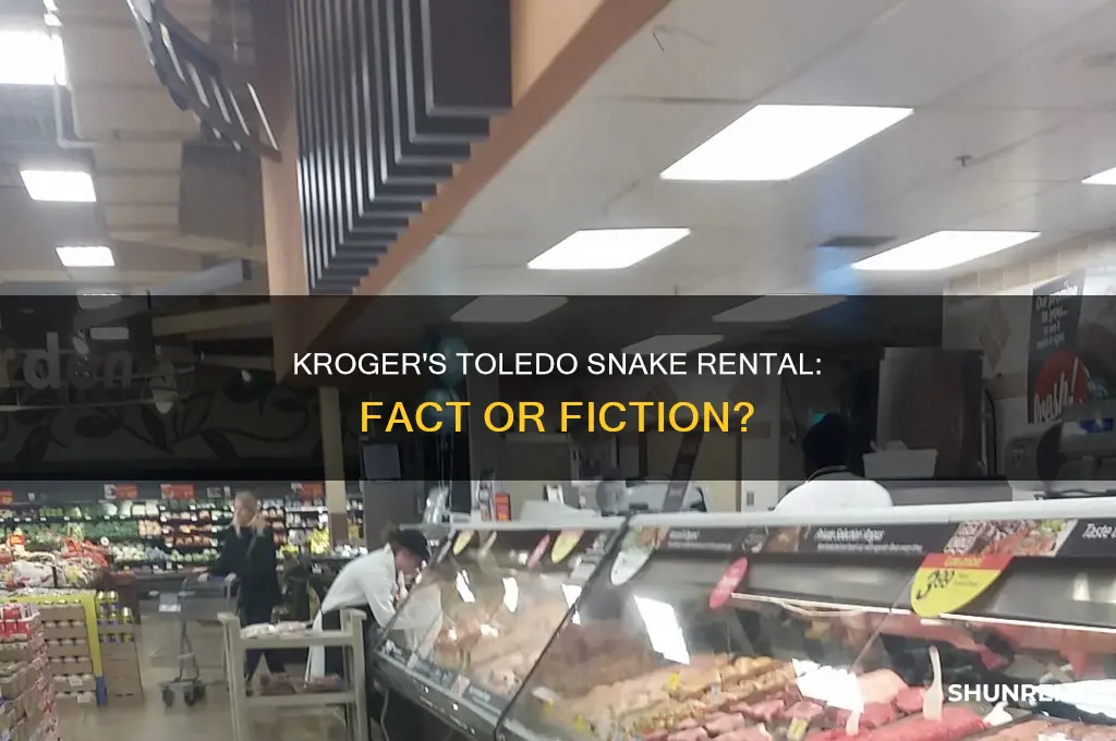 does krogers rent snakes in toledo ohio