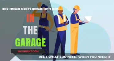 Lemonade Renter's Insurance: Are Your Garage Tools Covered?