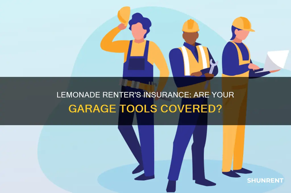 does lemonade renter